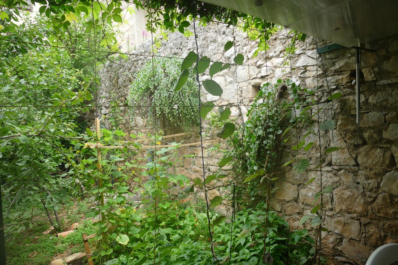 Villa Abeona Makarska Kültér fotó